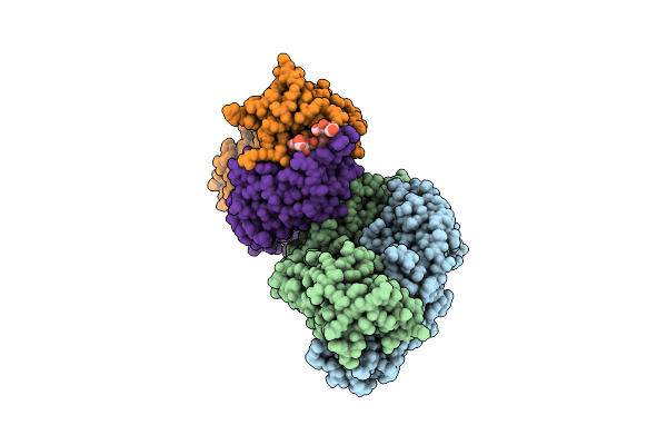 8UHN image
