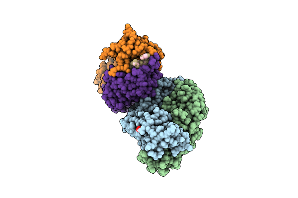 8UHP image