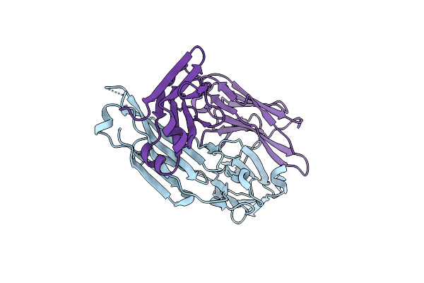 8UHT image