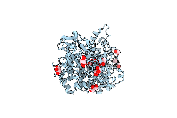 8UHV image