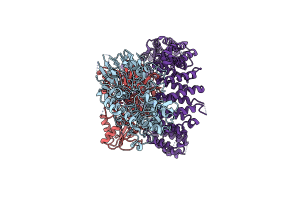 8UIB image