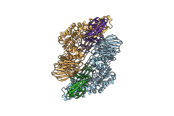 8UID image