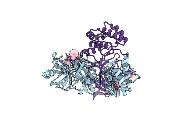 8UIF image