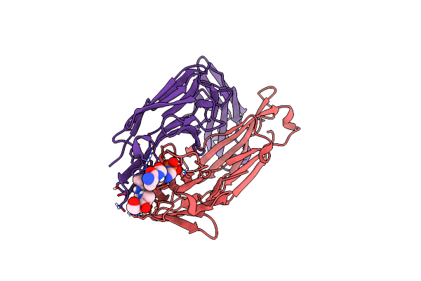 8UIG image