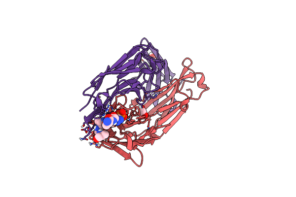 8UIH image
