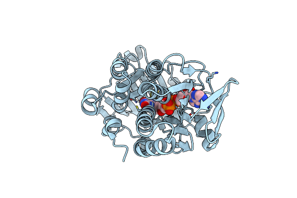 8UIQ image
