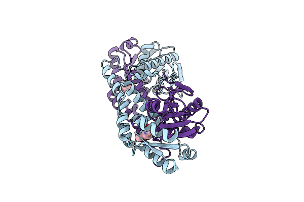 8UIX image