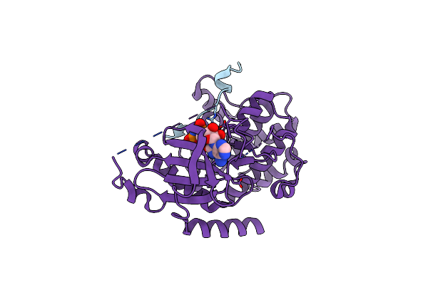 8UKP image