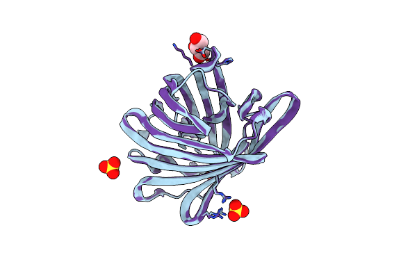 8UL1 image
