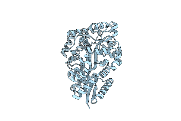 8ULA image