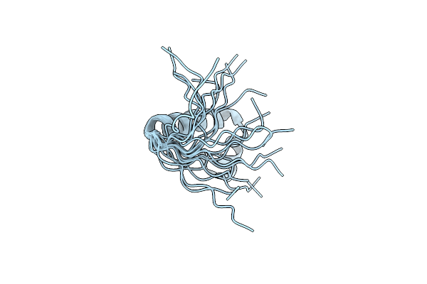 8UM2 image