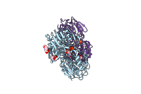 8UMN image