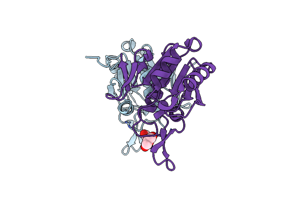 8UOO image