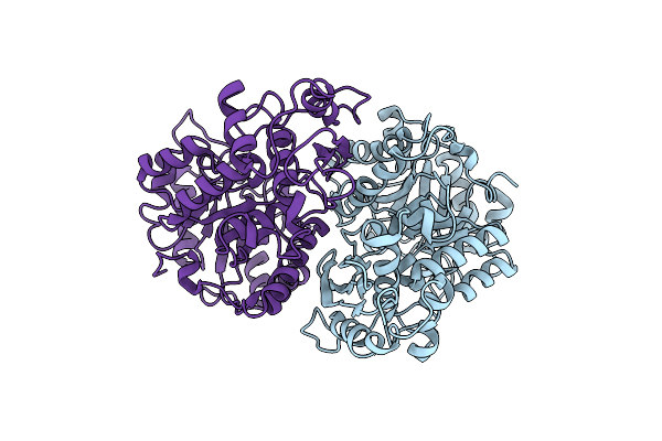 8UOP image