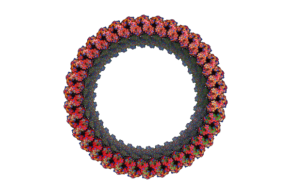 8UOX image