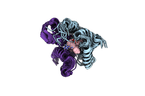 8UOZ image