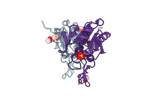 8UP9 image