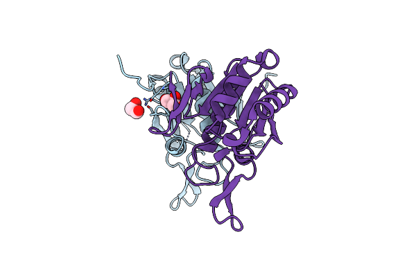 8UPC image