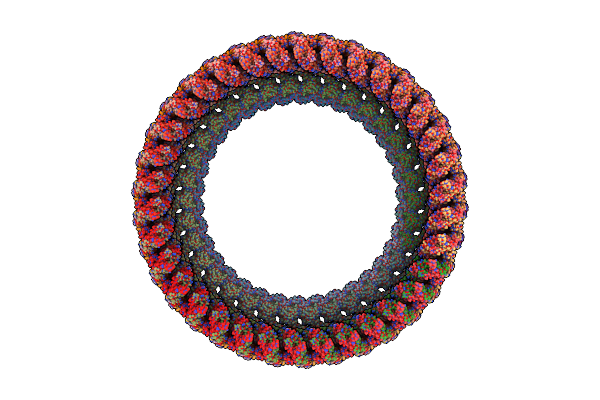 8UPL image