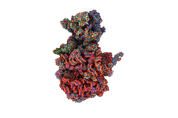 8UPO image