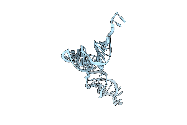 8UPT image
