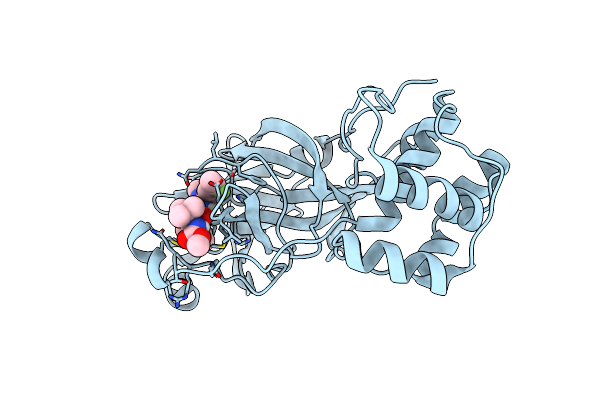 8UPV image