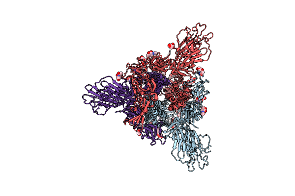 8UPX image