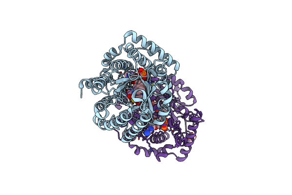 8UQ0 image