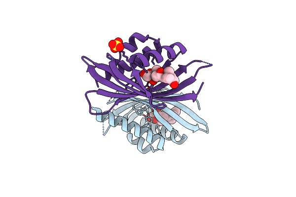 8UQF image