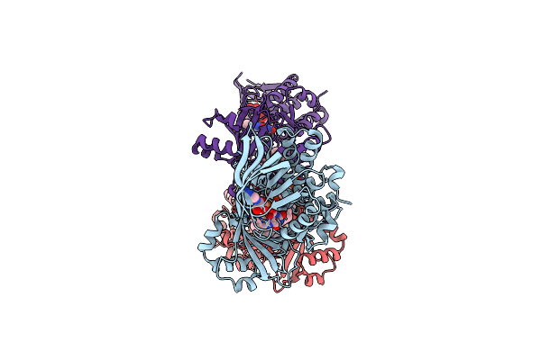 8URC image