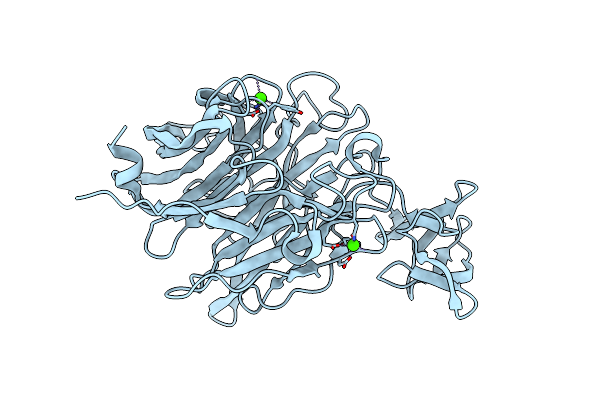 8URL image