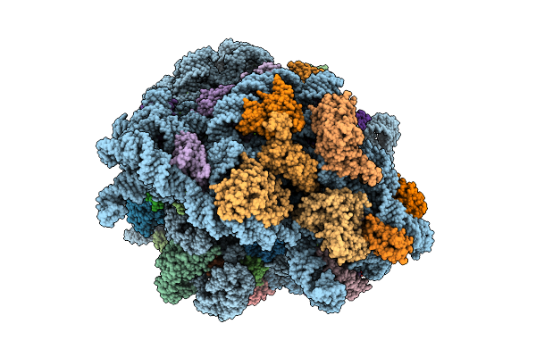 8URM image