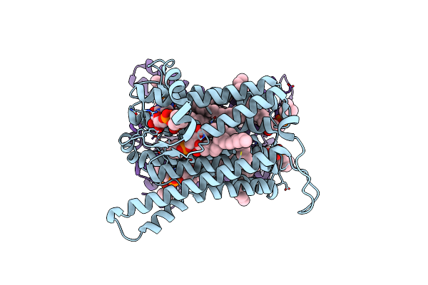 8URP image