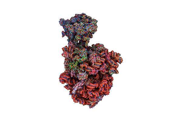 8URX image