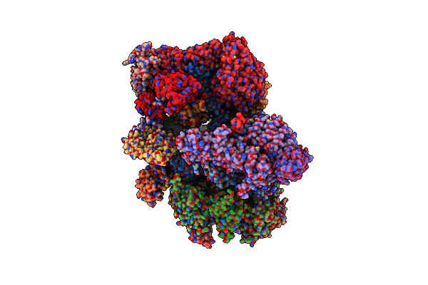8USC image