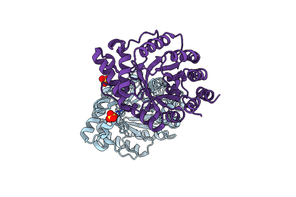 8USG image