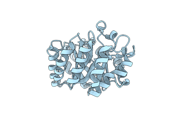 8USI image