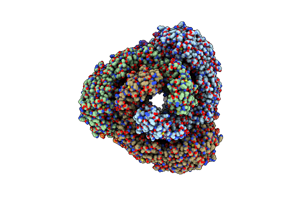 8USP image