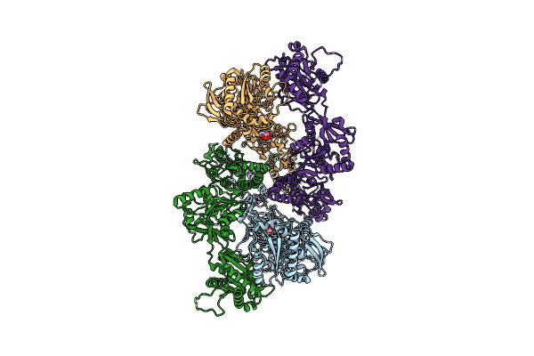 8USW image