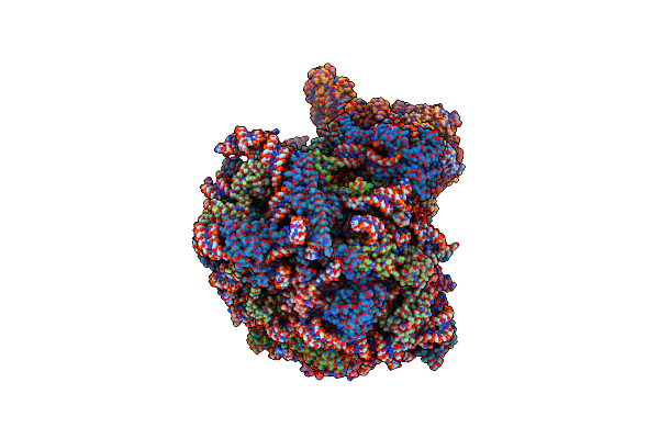 8UTI image
