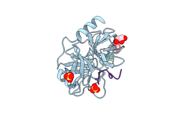 8UTL image