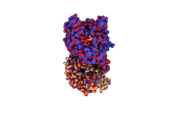 8UTP image