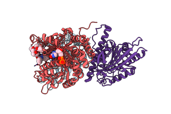 8UTS image