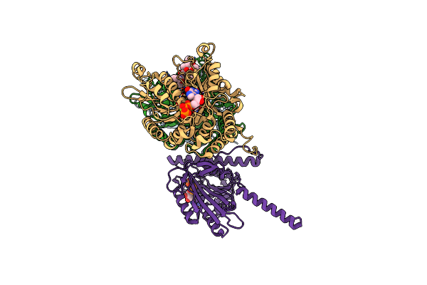 8UTU image