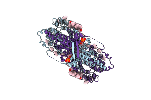 8UUK image