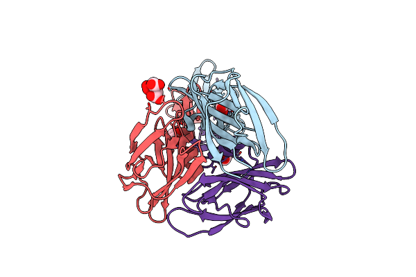 8UUS image