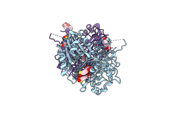 8UV1 image