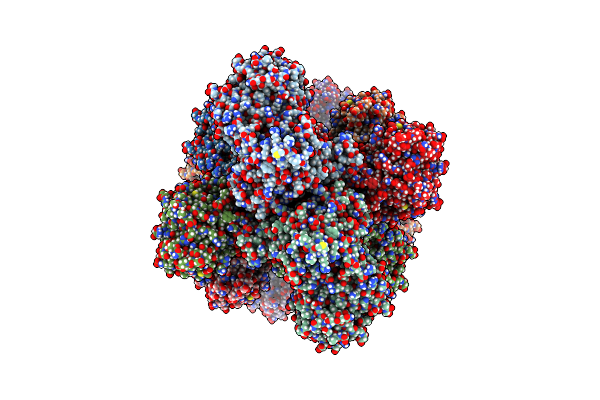 8UV4 image