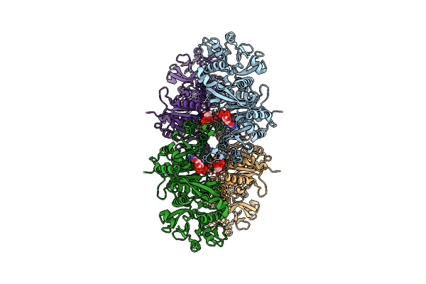 8UV8 image