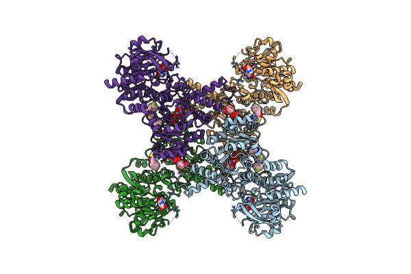 8UV9 image
